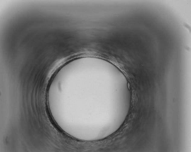 X0000093360007200711081524
