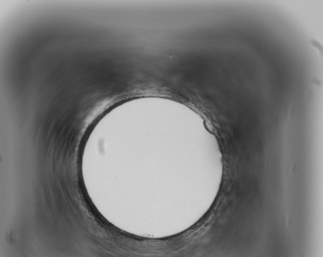 X0000093360008200711081524