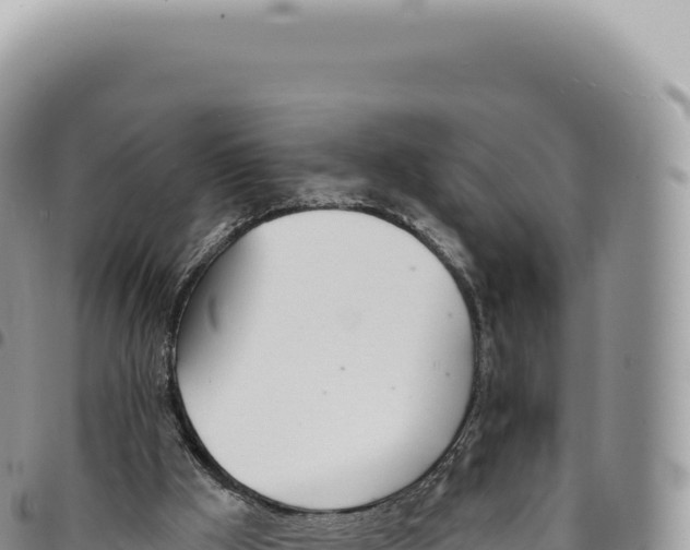 X0000093360009200711081524