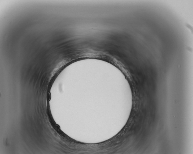 X0000093360011200711081524