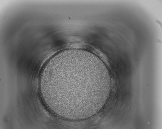 X0000093360012200711081524