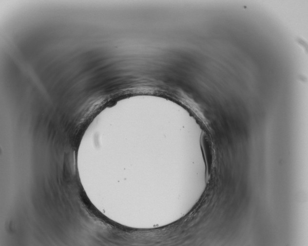 X0000093360013200711081524