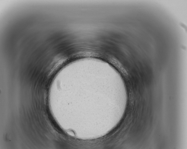 X0000093360014200711081524