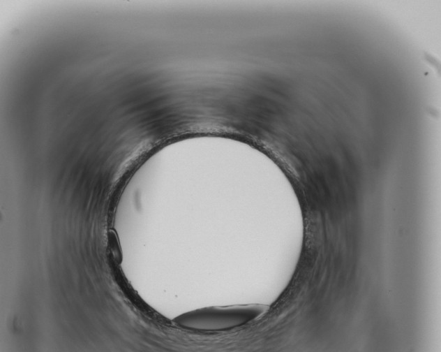 X0000093360015200711081524