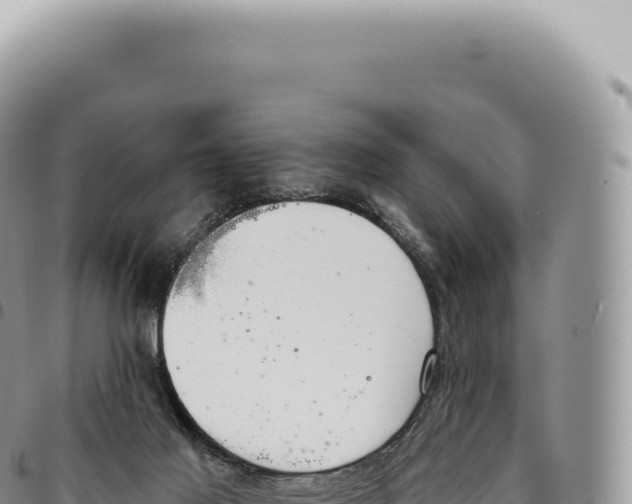 X0000093360021200711081524