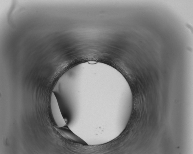 X0000093360023200711081524