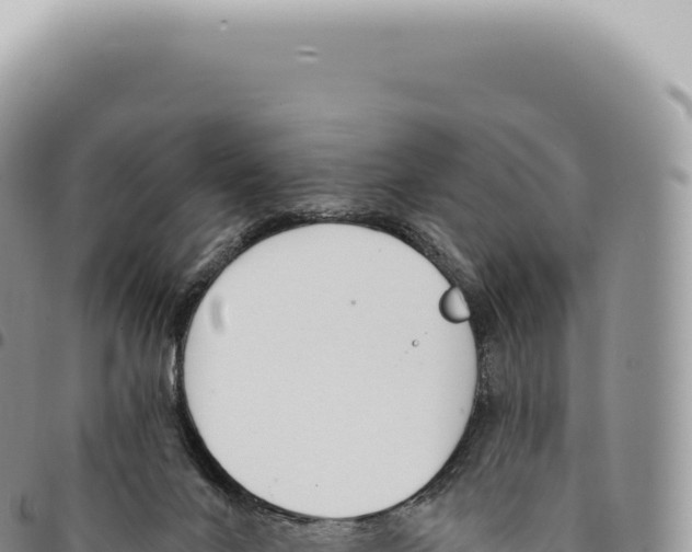 X0000093360024200711081524