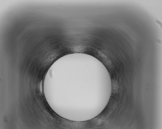 X0000093360028200711081524