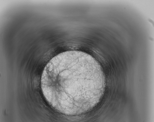 X0000093360030200711081524