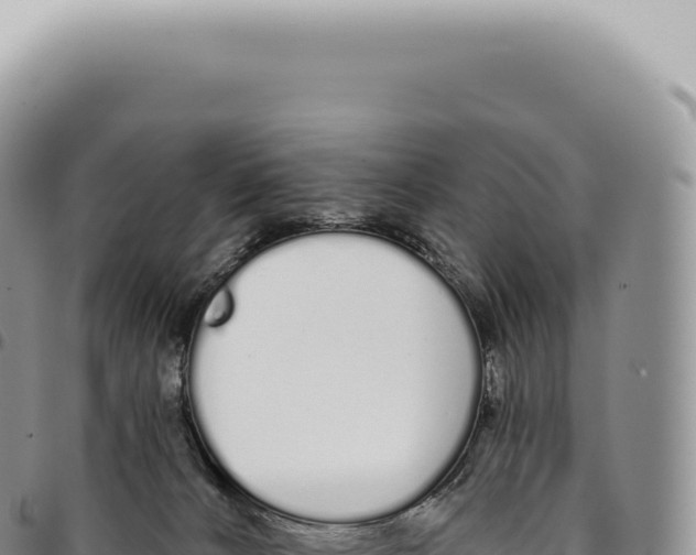 X0000093360032200711081524