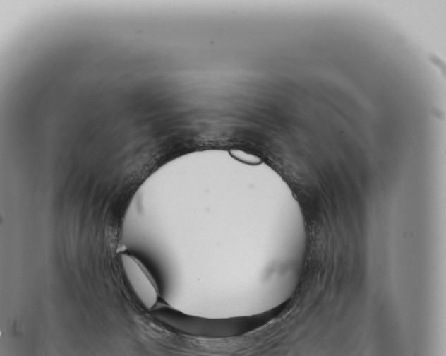 X0000093360033200711081524