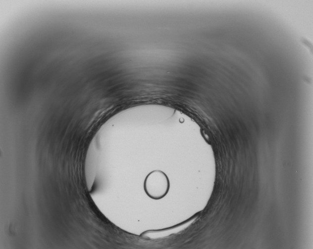 X0000093360035200711081524