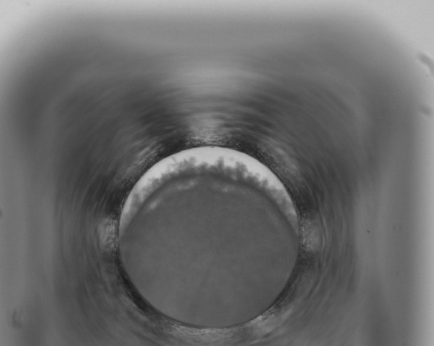 X0000093360036200711081524