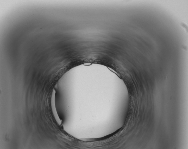 X0000093360037200711081524