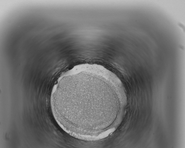 X0000093360039200711081524