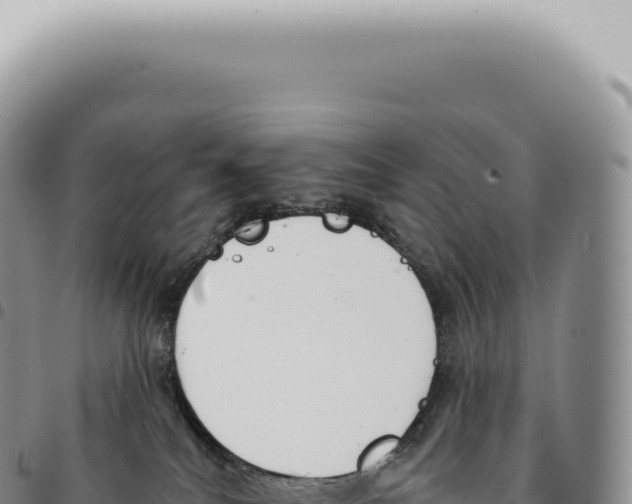 X0000093360040200711081524
