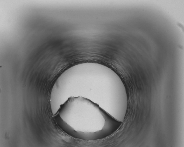 X0000093360041200711081524
