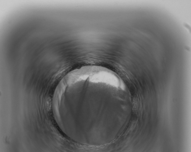 X0000093360043200711081524