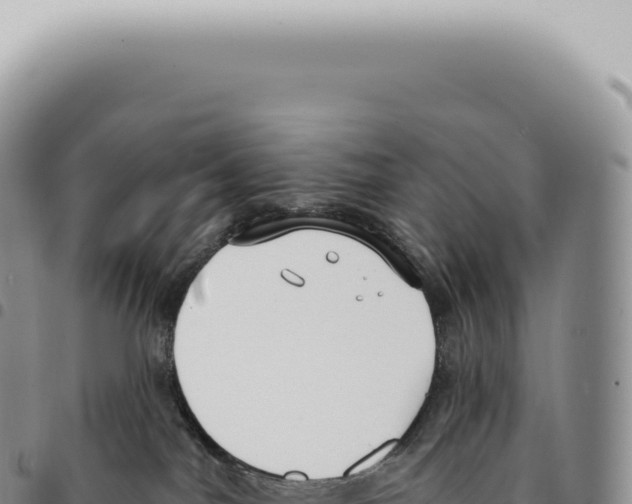 X0000093360044200711081524
