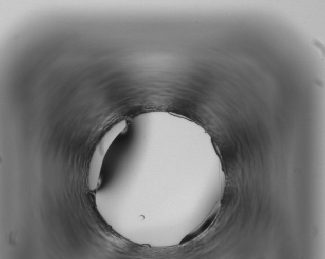X0000093360045200711081524