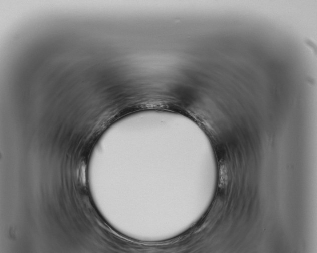 X0000093360046200711081524