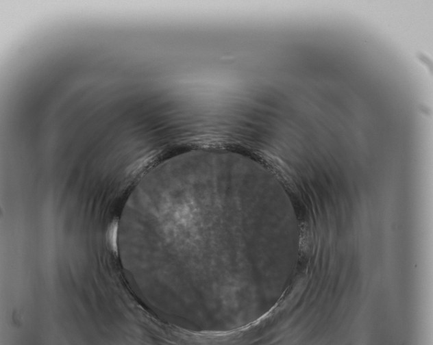 X0000093360047200711081524