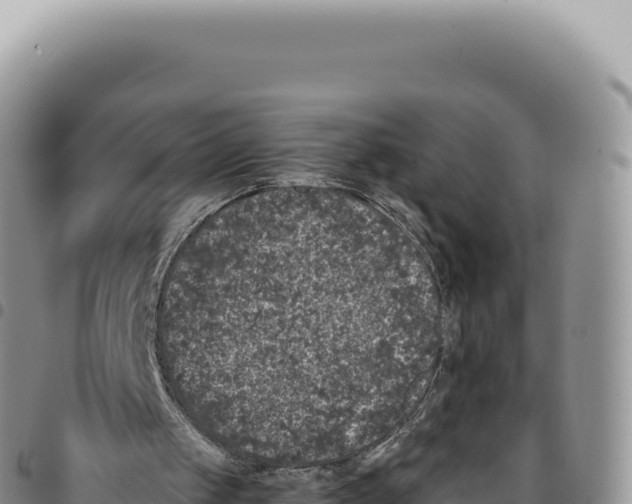 X0000093360049200711081523