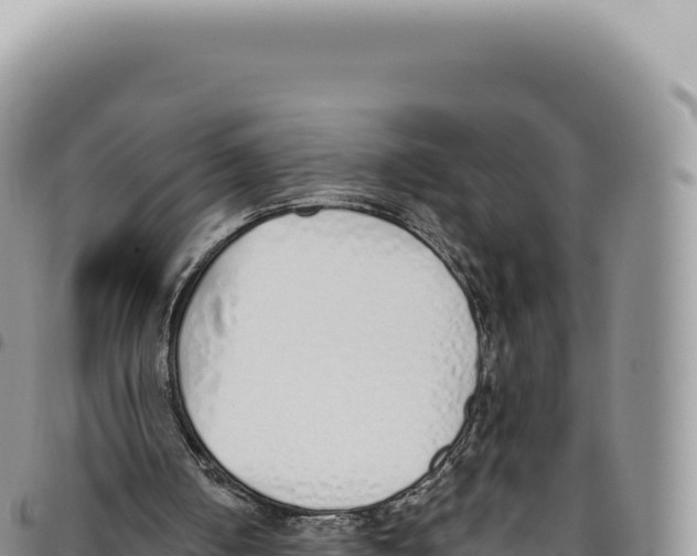 X0000093360050200711081523