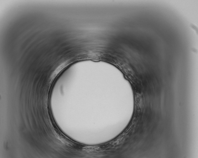 X0000093360051200711081523