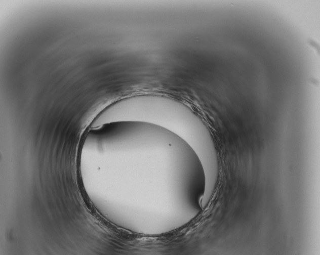 X0000093360052200711081523
