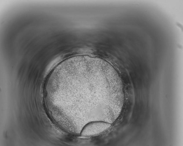 X0000093360053200711081523
