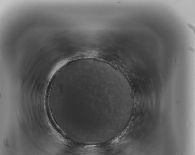 X0000093360054200711081523
