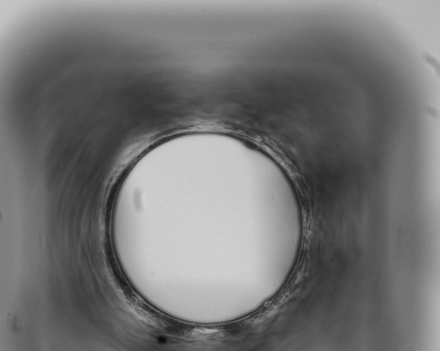 X0000093360055200711081523