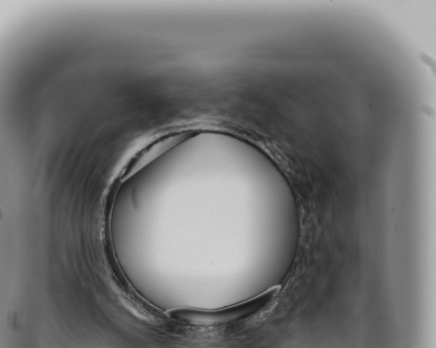 X0000093360056200711081523