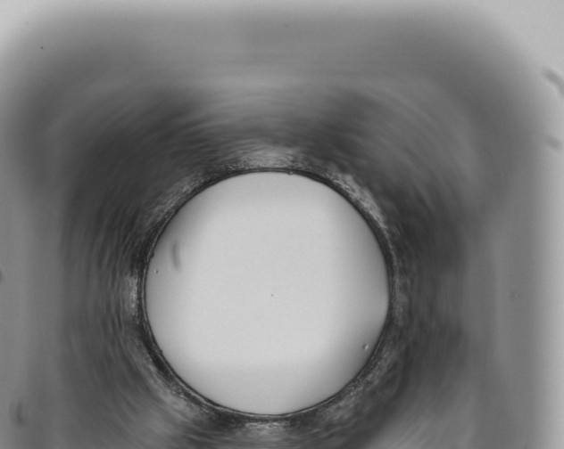 X0000093360057200711081523