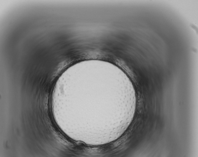X0000093360058200711081523