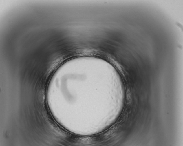 X0000093360059200711081523