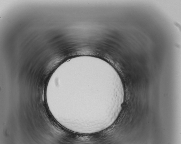 X0000093360062200711081523