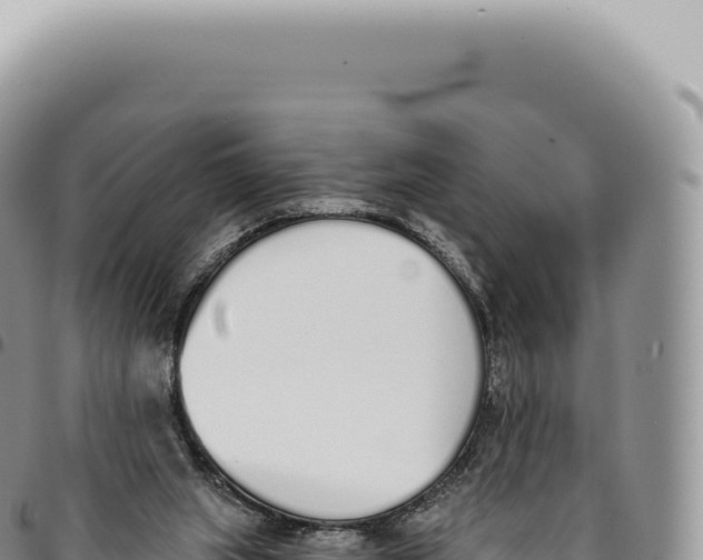 X0000093360063200711081523