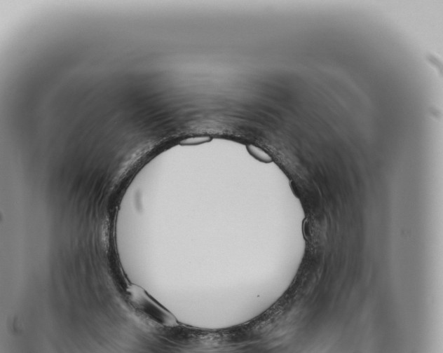 X0000093360064200711081523