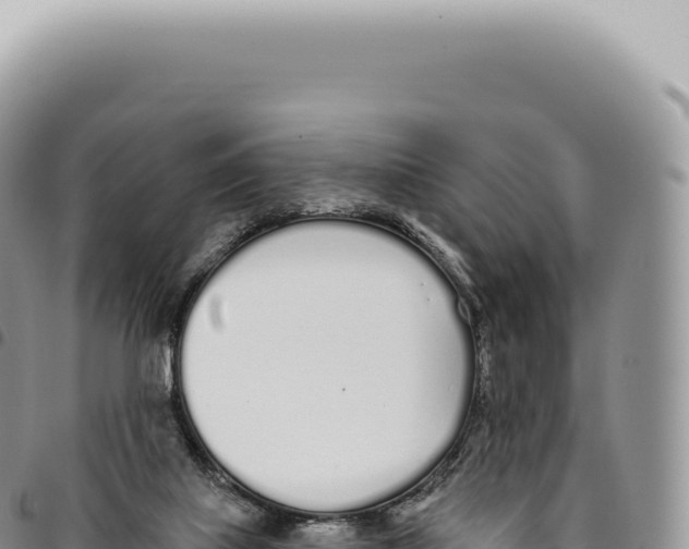 X0000093360067200711081523