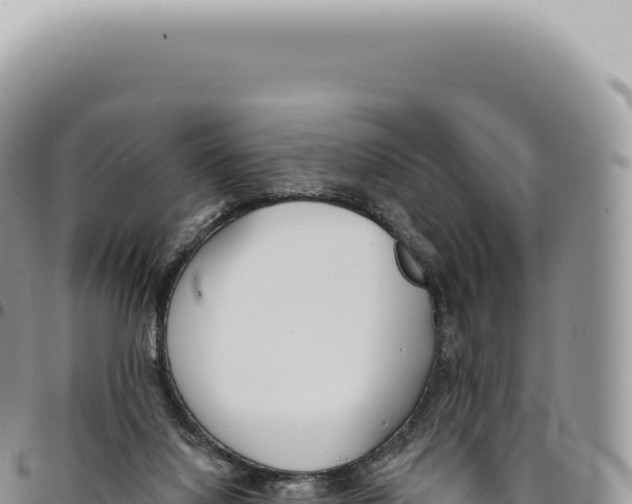 X0000093360068200711081523