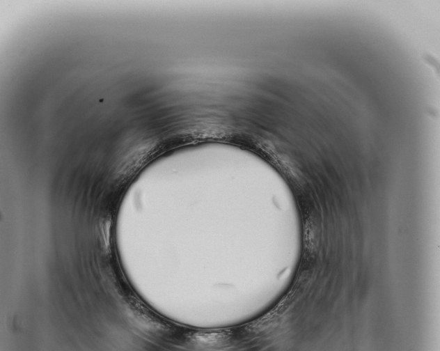 X0000093360070200711081523