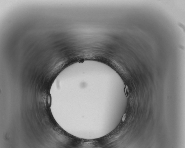 X0000093360072200711081523