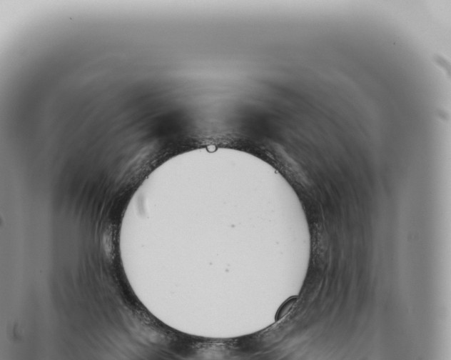 X0000093360074200711081523