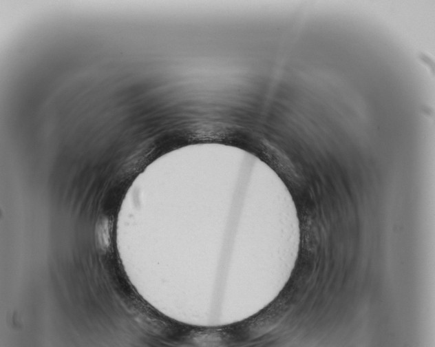 X0000093360075200711081523
