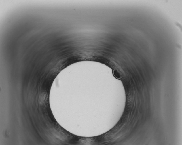 X0000093360079200711081523