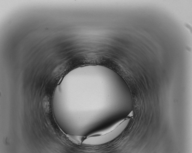 X0000093360080200711081523