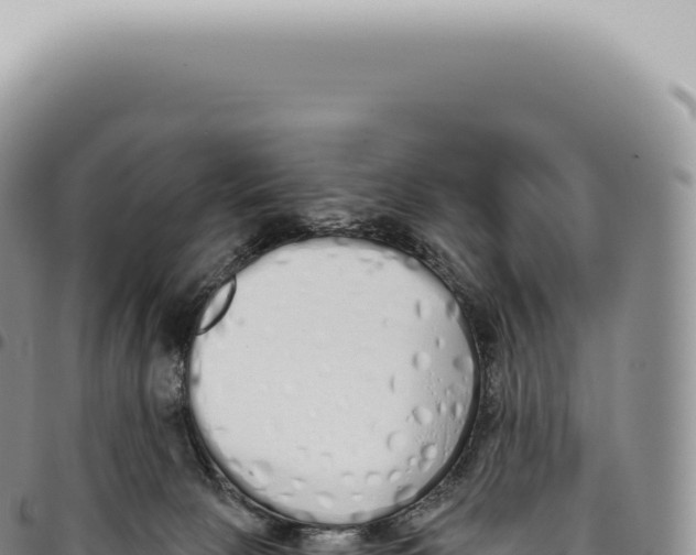 X0000093360081200711081523