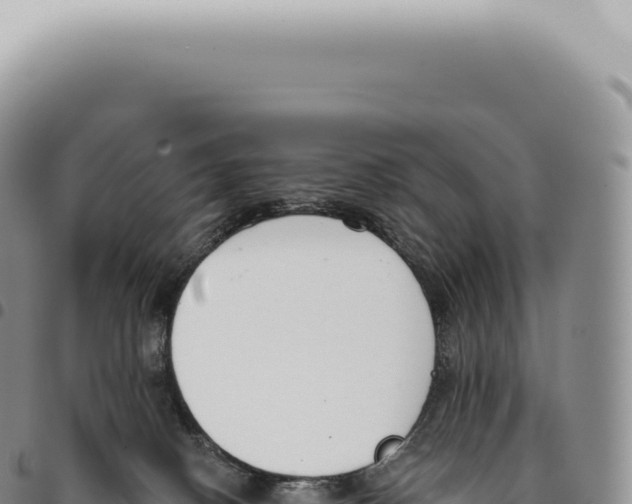 X0000093360082200711081524
